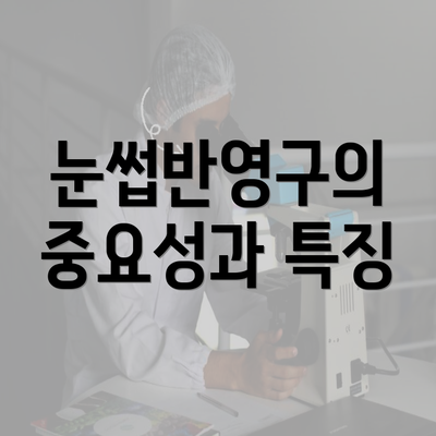 눈썹반영구의 중요성과 특징