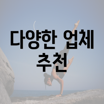 다양한 업체 추천