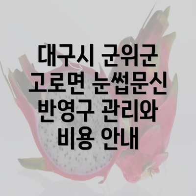 대구시 군위군 고로면 눈썹문신 반영구 관리와 비용 안내