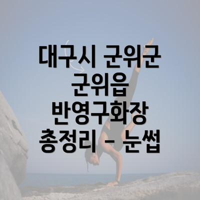 대구시 군위군 군위읍 반영구화장 총정리 - 눈썹