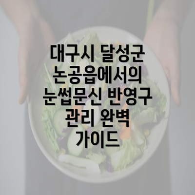 대구시 달성군 논공읍에서의 눈썹문신 반영구 관리 완벽 가이드