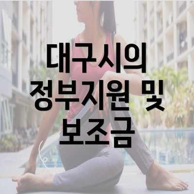 대구시의 정부지원 및 보조금