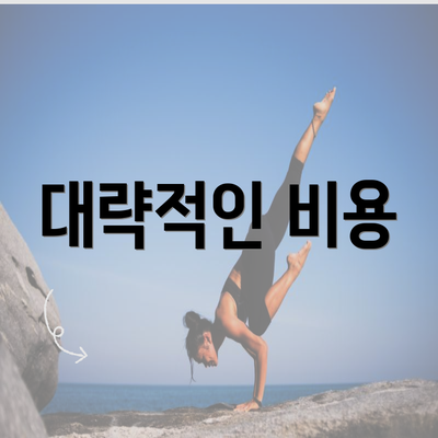 대략적인 비용