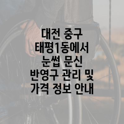 대전 중구 태평1동에서 눈썹 문신 반영구 관리 및 가격 정보 안내