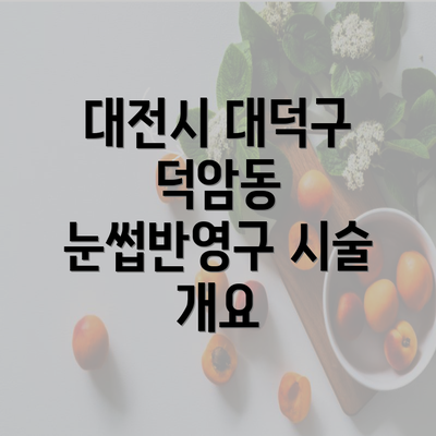 대전시 대덕구 덕암동 눈썹반영구 시술 개요