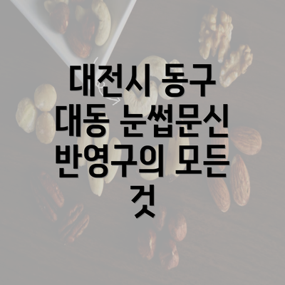 대전시 동구 대동 눈썹문신 반영구의 모든 것