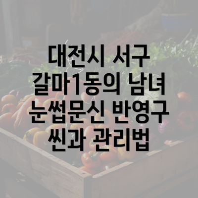 대전시 서구 갈마1동의 남녀 눈썹문신 반영구 씬과 관리법