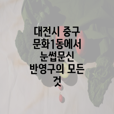 대전시 중구 문화1동에서 눈썹문신 반영구의 모든 것