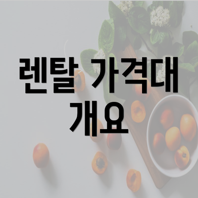 렌탈 가격대 개요