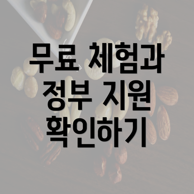 무료 체험과 정부 지원 확인하기