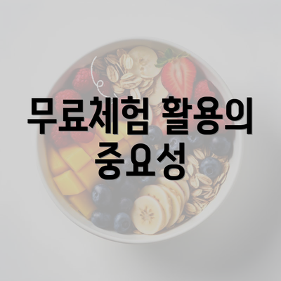 무료체험 활용의 중요성