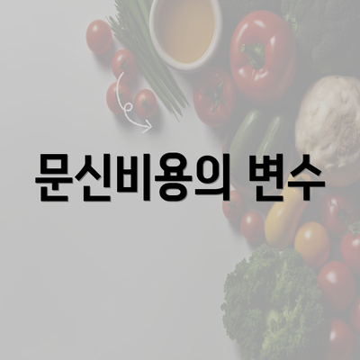 문신비용의 변수