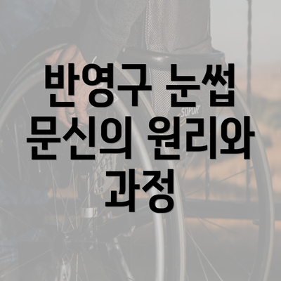 반영구 눈썹 문신의 원리와 과정