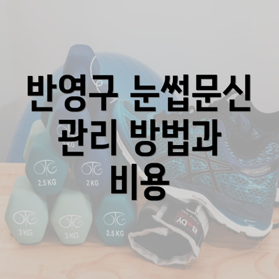 반영구 눈썹문신 관리 방법과 비용