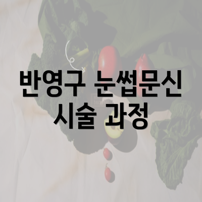 반영구 눈썹문신 시술 과정