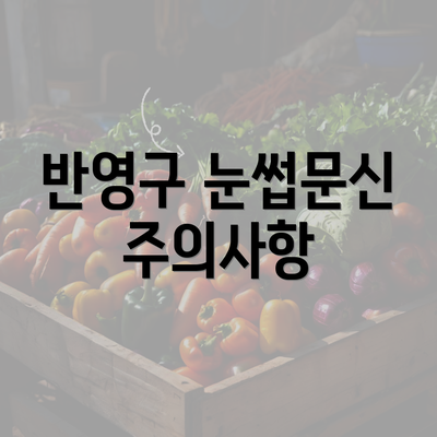 반영구 눈썹문신 주의사항