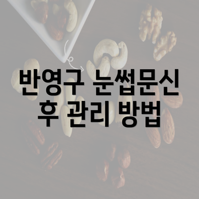 반영구 눈썹문신 후 관리 방법