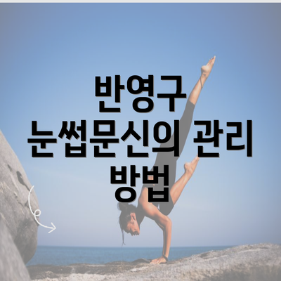 반영구 눈썹문신의 관리 방법