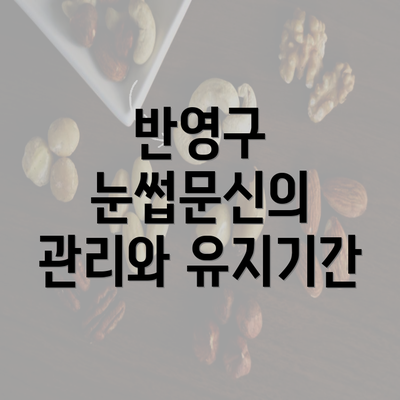 반영구 눈썹문신의 관리와 유지기간