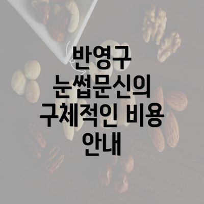 반영구 눈썹문신의 구체적인 비용 안내