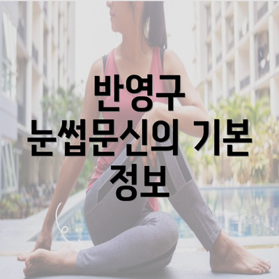 반영구 눈썹문신의 기본 정보