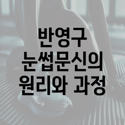 반영구 눈썹문신의 원리와 과정