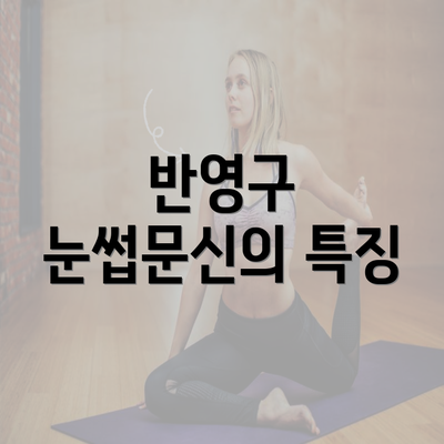 반영구 눈썹문신의 특징