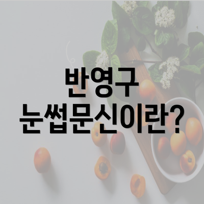 반영구 눈썹문신이란?