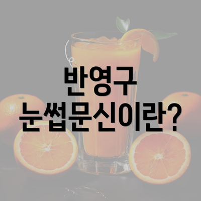 반영구 눈썹문신이란?