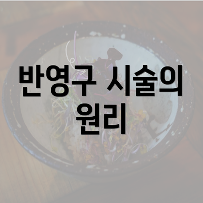 반영구 시술의 원리