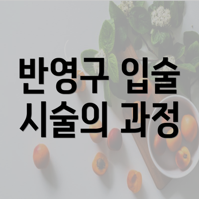 반영구 입술 시술의 과정