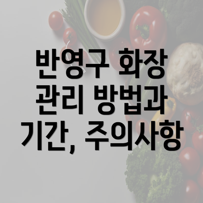 반영구 화장 관리 방법과 기간, 주의사항