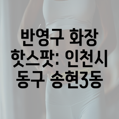 반영구 화장 핫스팟: 인천시 동구 송현3동