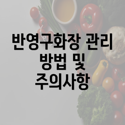 반영구화장 관리 방법 및 주의사항