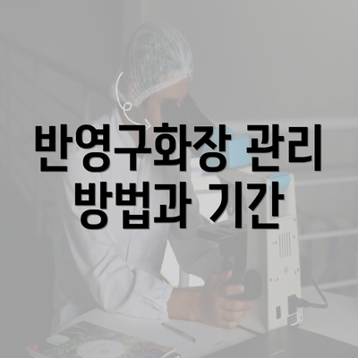 반영구화장 관리 방법과 기간