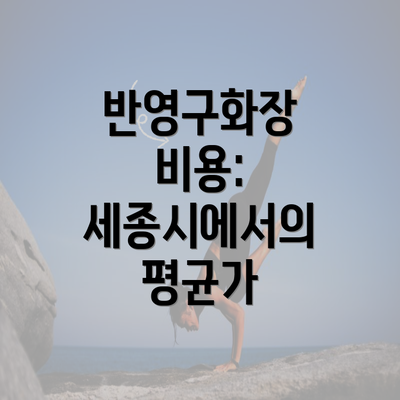 반영구화장 비용: 세종시에서의 평균가