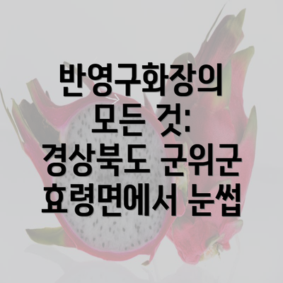 반영구화장의 모든 것: 경상북도 군위군 효령면에서 눈썹