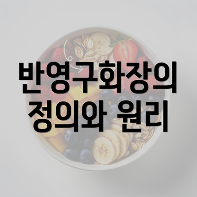 반영구화장의 정의와 원리