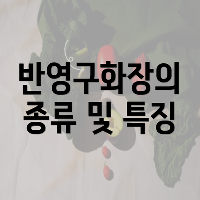 반영구화장의 종류 및 특징