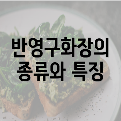 반영구화장의 종류와 특징