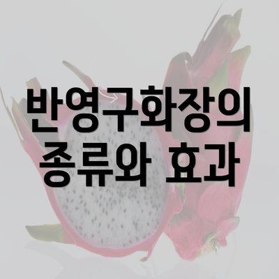 반영구화장의 종류와 효과