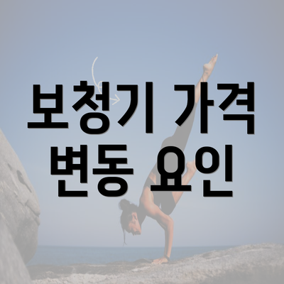 보청기 가격 변동 요인