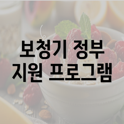 보청기 정부 지원 프로그램