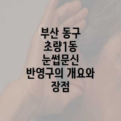 부산 동구 초량1동 눈썹문신 반영구의 개요와 장점