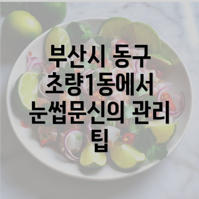 부산시 동구 초량1동에서 눈썹문신의 관리 팁