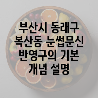 부산시 동래구 복산동 눈썹문신 반영구의 기본 개념 설명