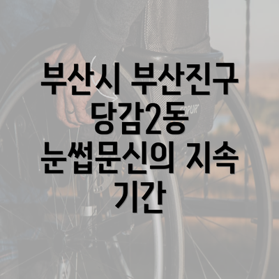 부산시 부산진구 당감2동 눈썹문신의 지속 기간