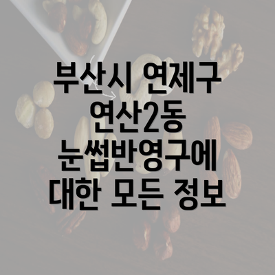 부산시 연제구 연산2동 눈썹반영구에 대한 모든 정보