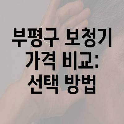 부평구 보청기 가격 비교: 선택 방법