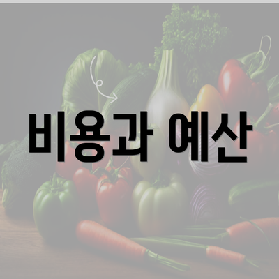 비용과 예산